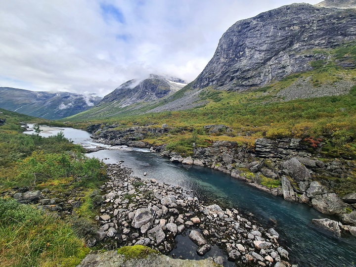 _autotone