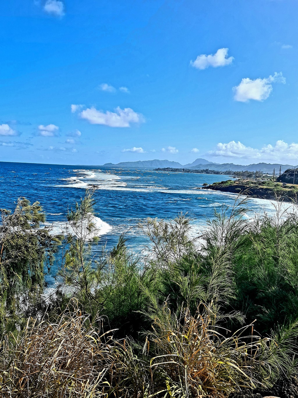 20210818_215134-resized